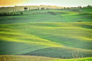 Veld Green Tuscany Italië